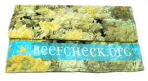 Reef Check Beach Towel