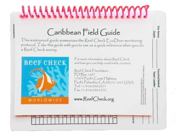 Caribbean Field Guide
