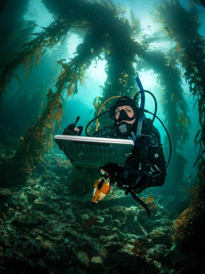 Reef Check Monterey California Program
