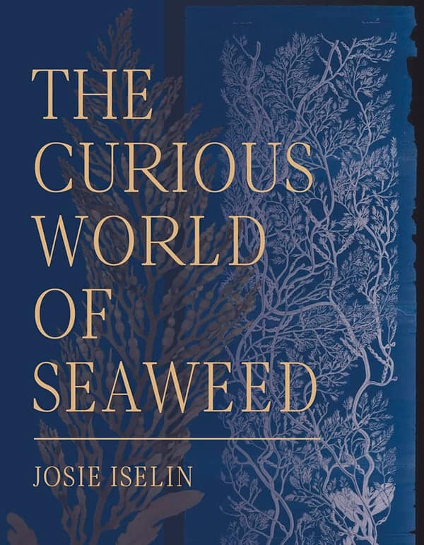 The Curious World of Seaweed cover