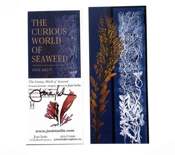 The Curious World of Seaweed bookmark