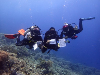 survey team divers