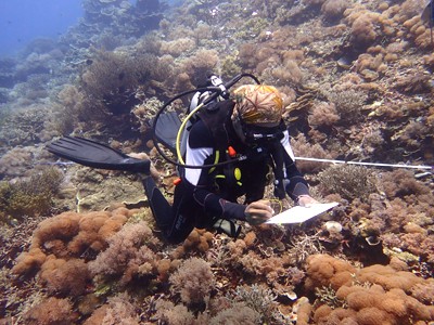 diver during survey