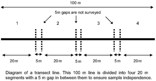diagram of transect line