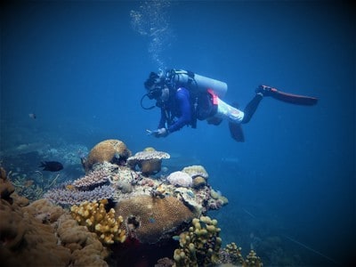survey diver in the Philippines