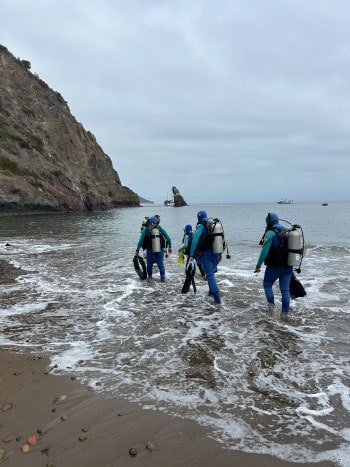 Students in Dive into Science program enter the water